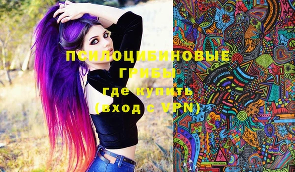 стафф Краснослободск