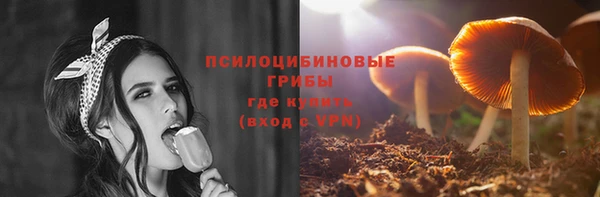 МДПВ Ленинск