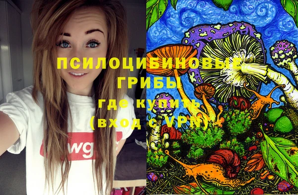 а пвп мука Куйбышев