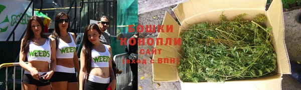 шишки Костерёво