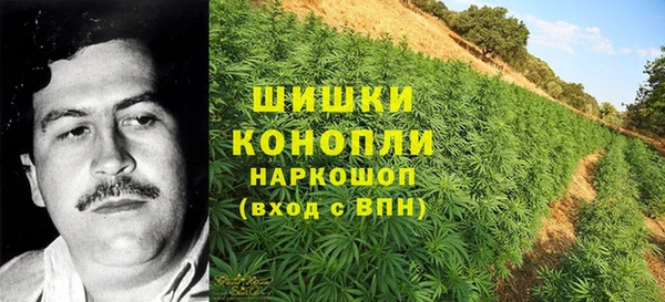 тгк Корсаков